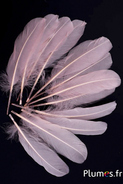 Gans - 15-21 cm - beige rosa